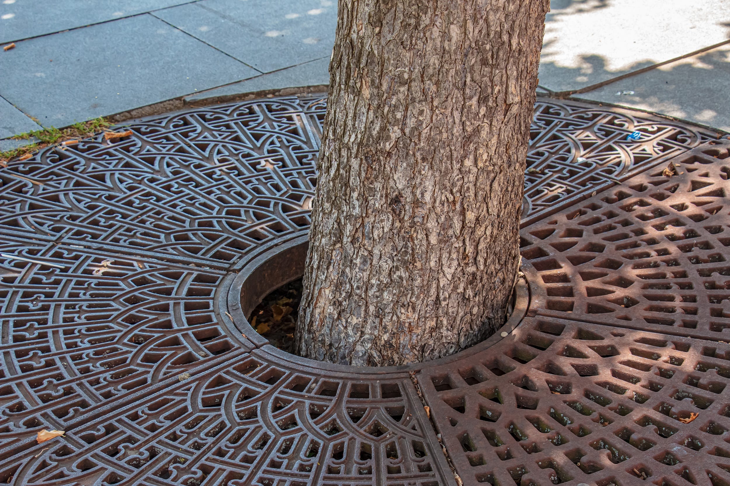common causes of drain blockages