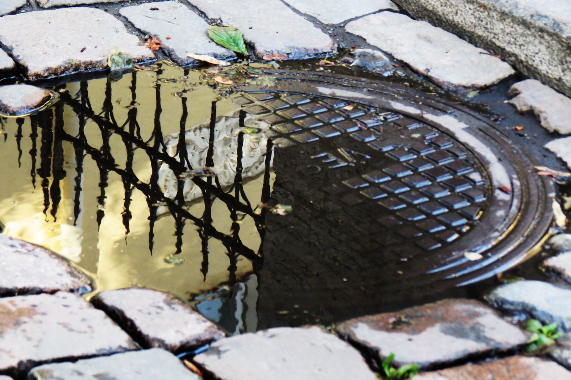 how to prevent blocked drains