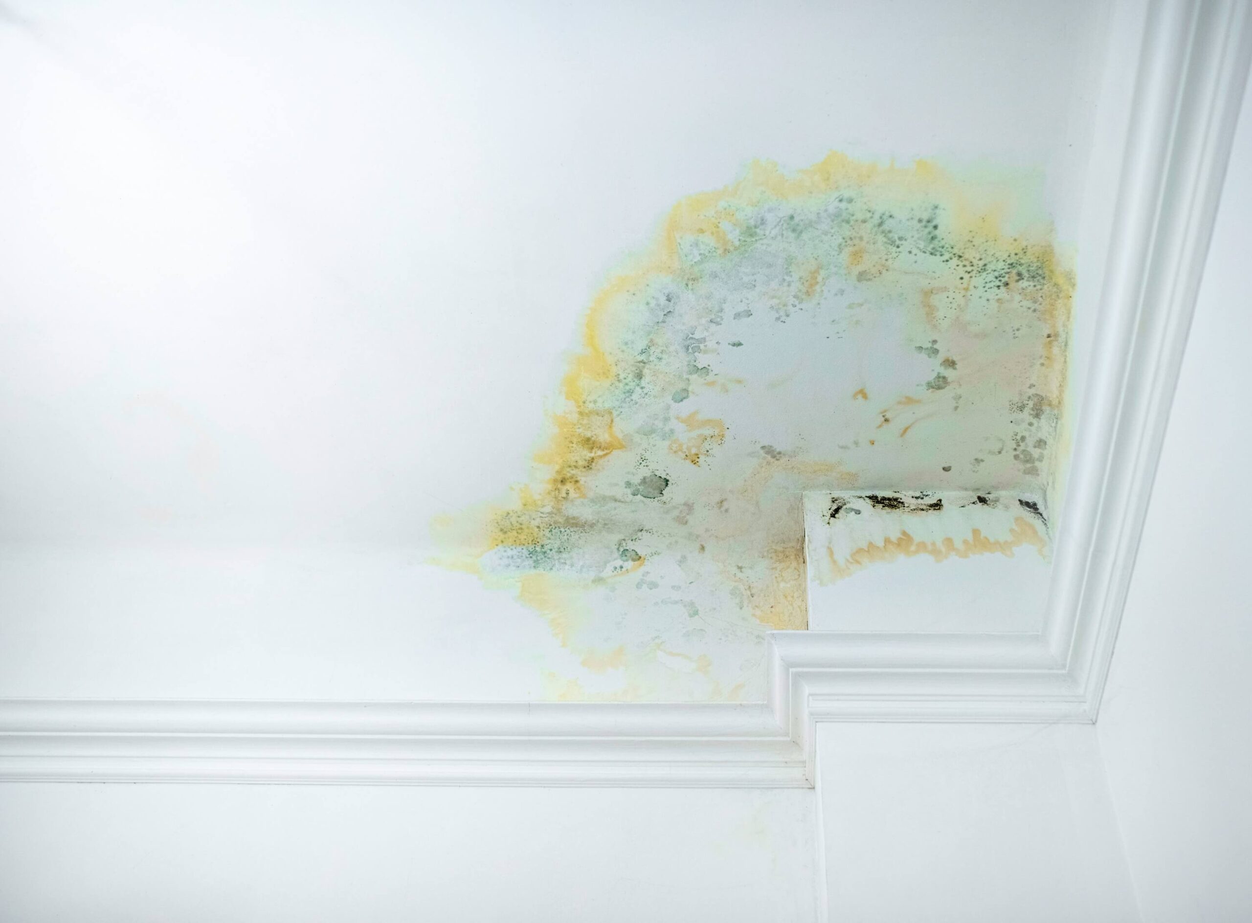 Water-stained ceiling with mould patches, indicating a roof leak in a commercial building. 