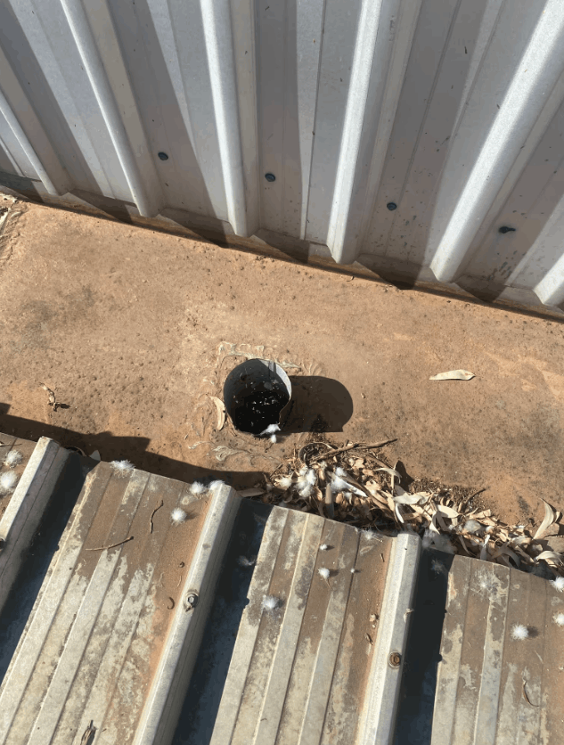 Box gutter outlet on a flat roof showing drainage point with debris around the opening.