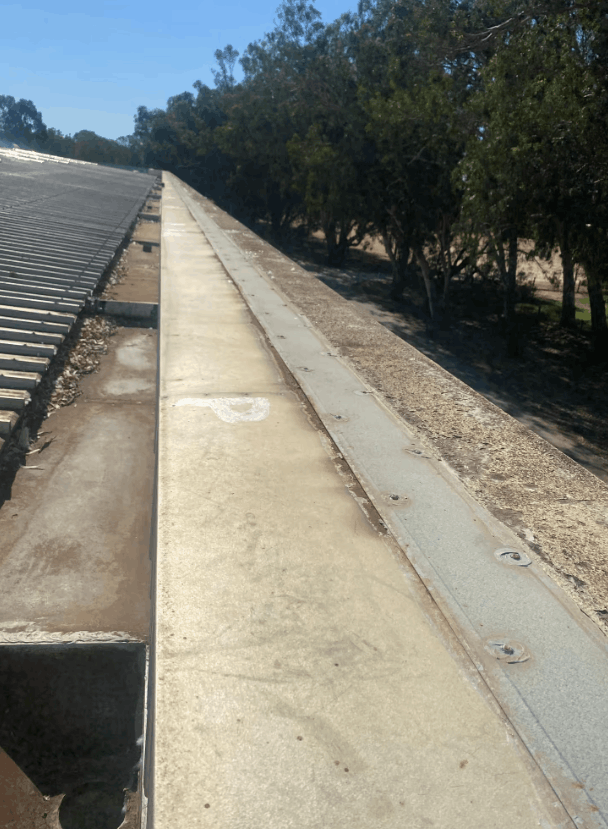 Commercial box gutter installed along a flat roof with surrounding trees nearby.