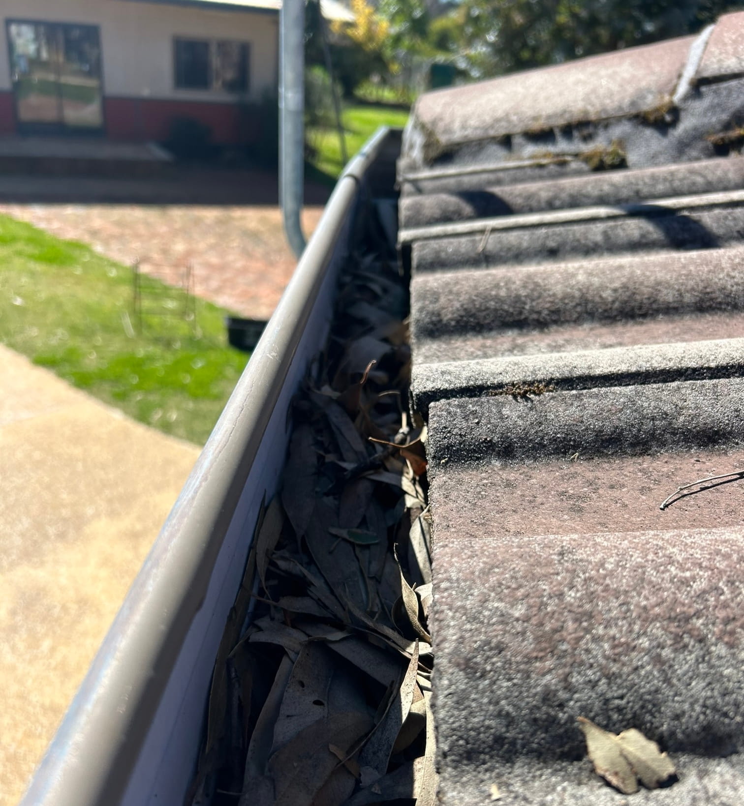 Eaves gutter on commercial building filled with debris and dirt, restricting water flow along roof edge.