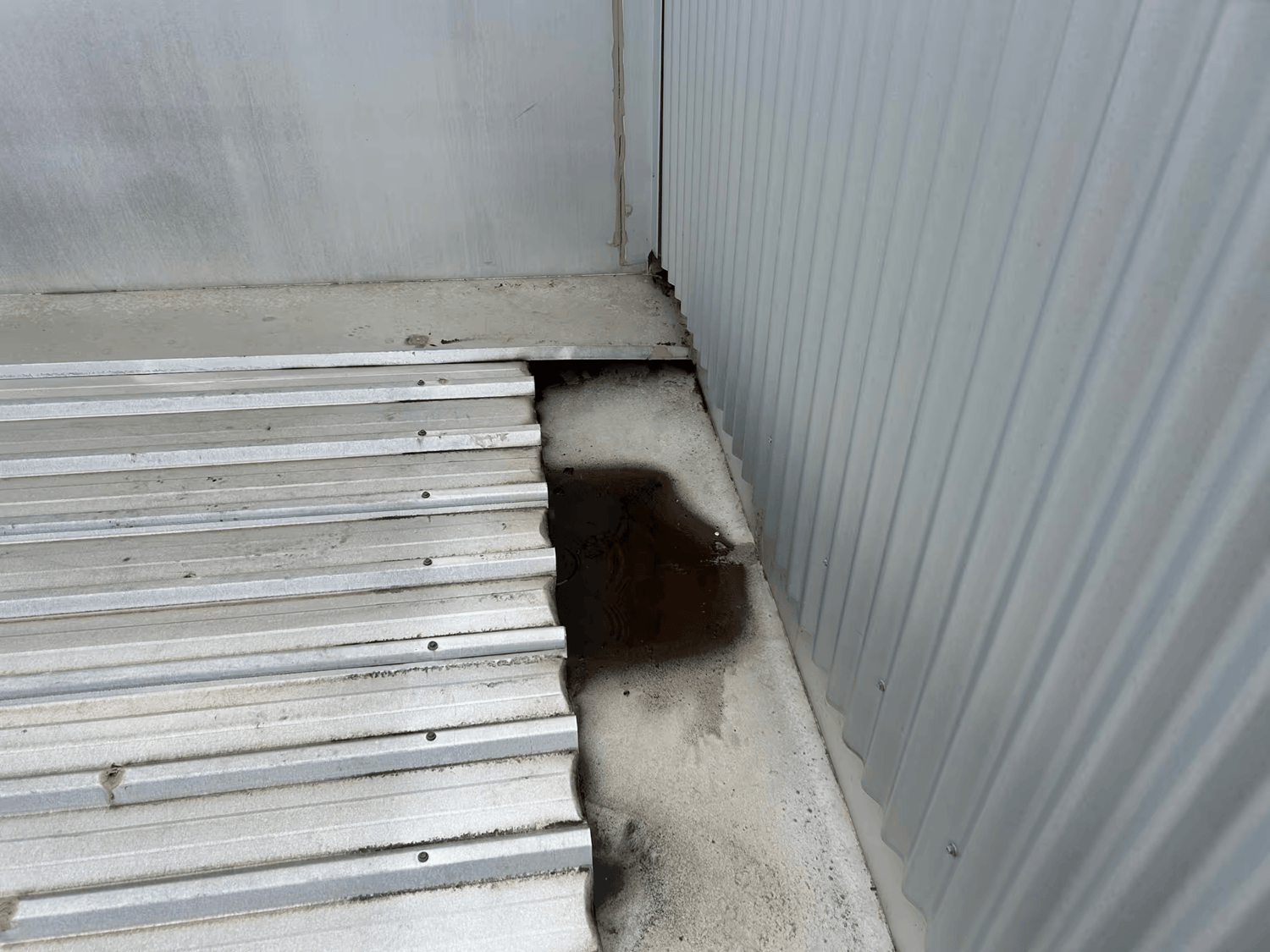 Standing water ponding beside commercial roof sheeting and parapet wall indicating inadequate roof drainage.