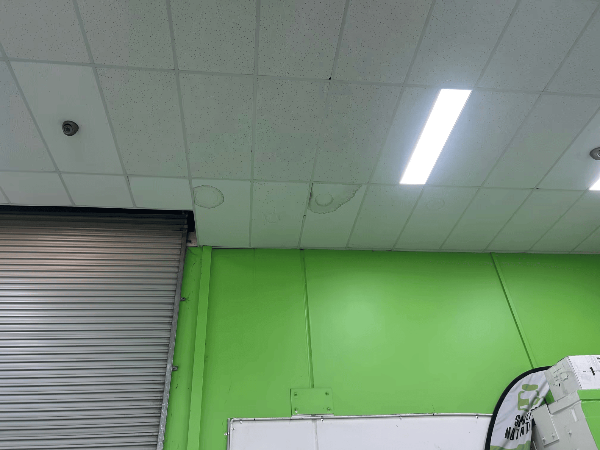 Water stains visible on suspended ceiling tiles caused by a commercial roof leak inside an industrial building.