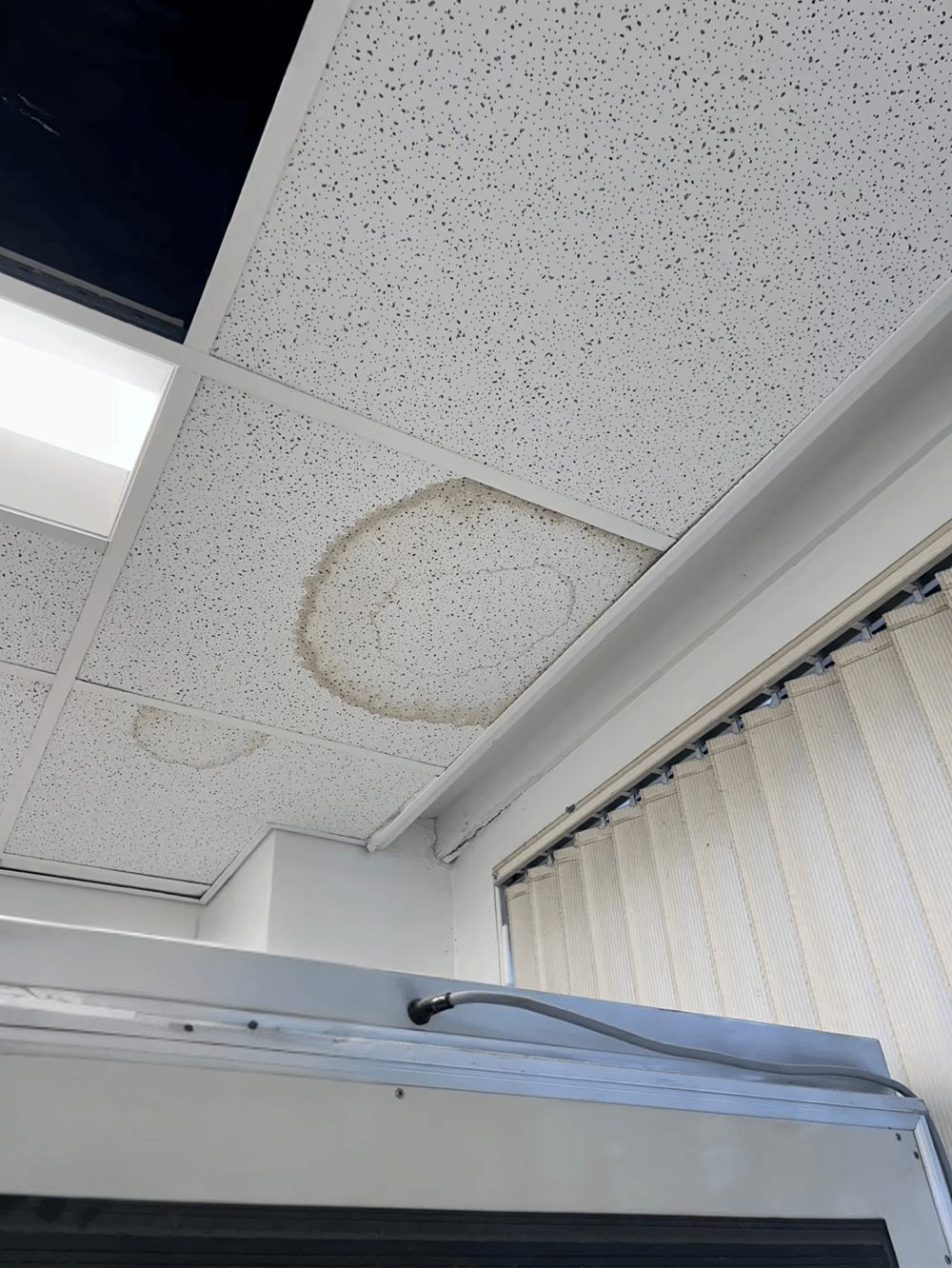 Visible water damage and staining on office ceiling tiles indicating possible roof water ingress.