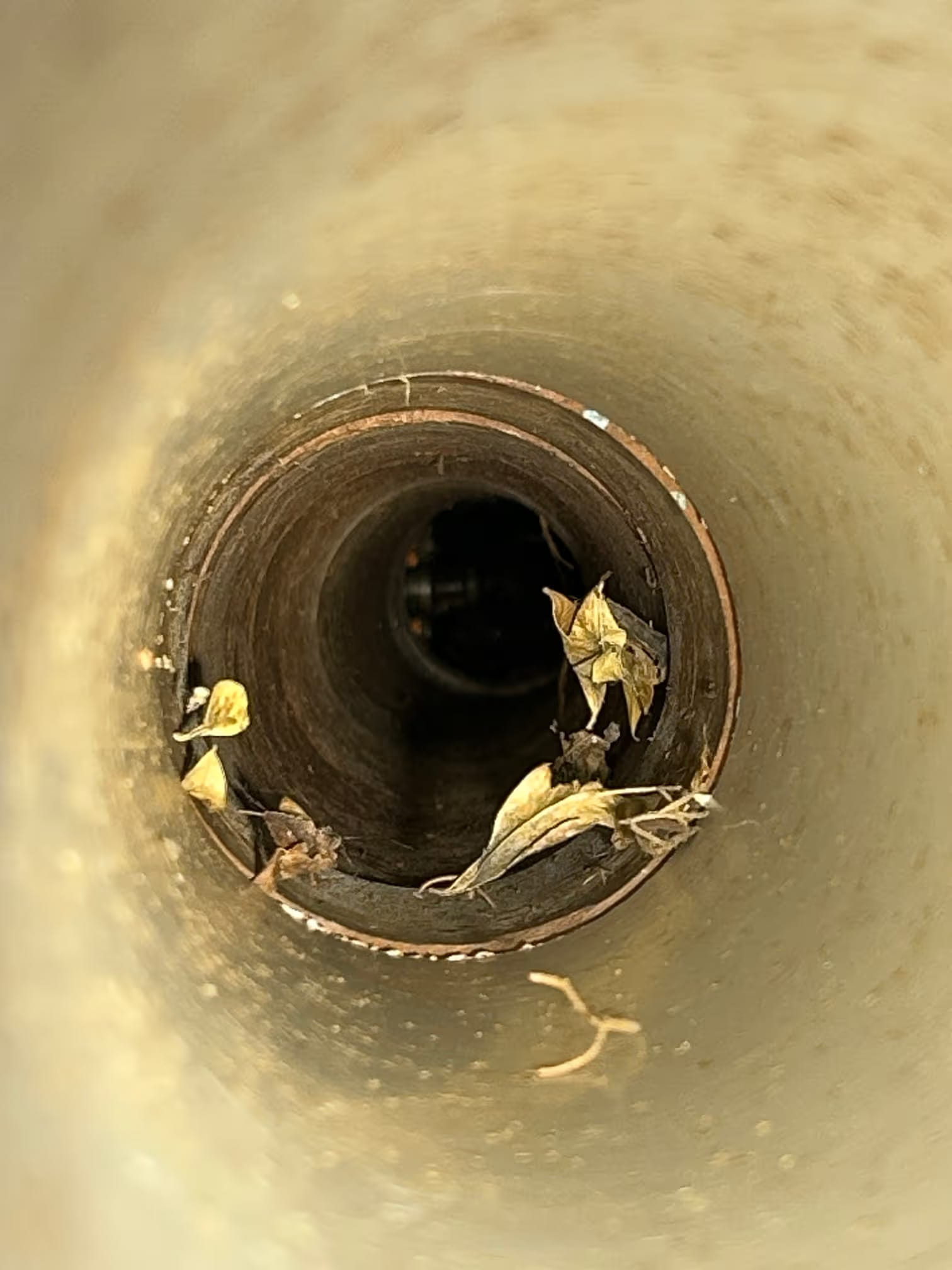 CCTV view inside a drainage pipe showing leaves and debris around a pipe joint
